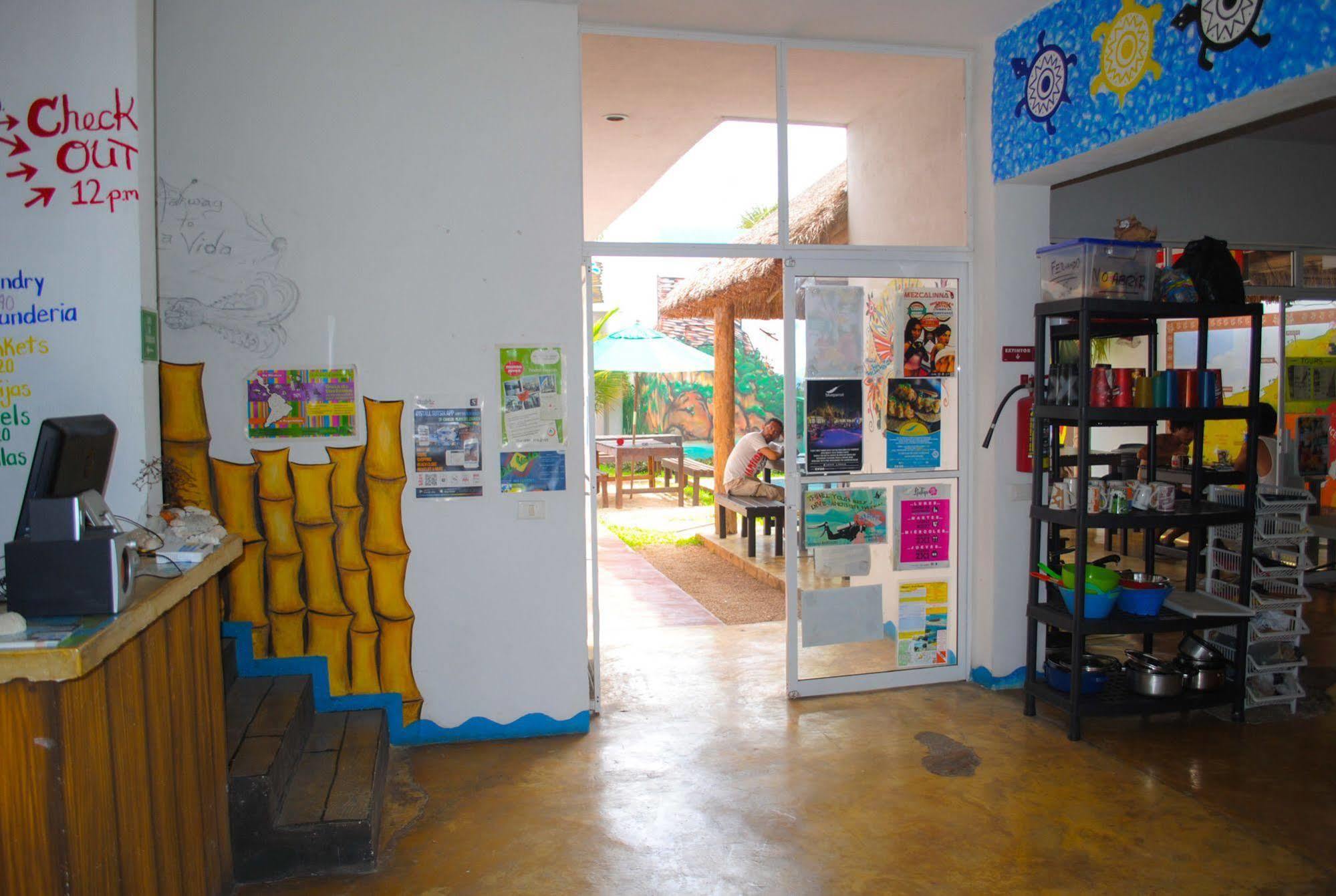 Hostal Vive La Vida Playa del Carmen Exterior foto
