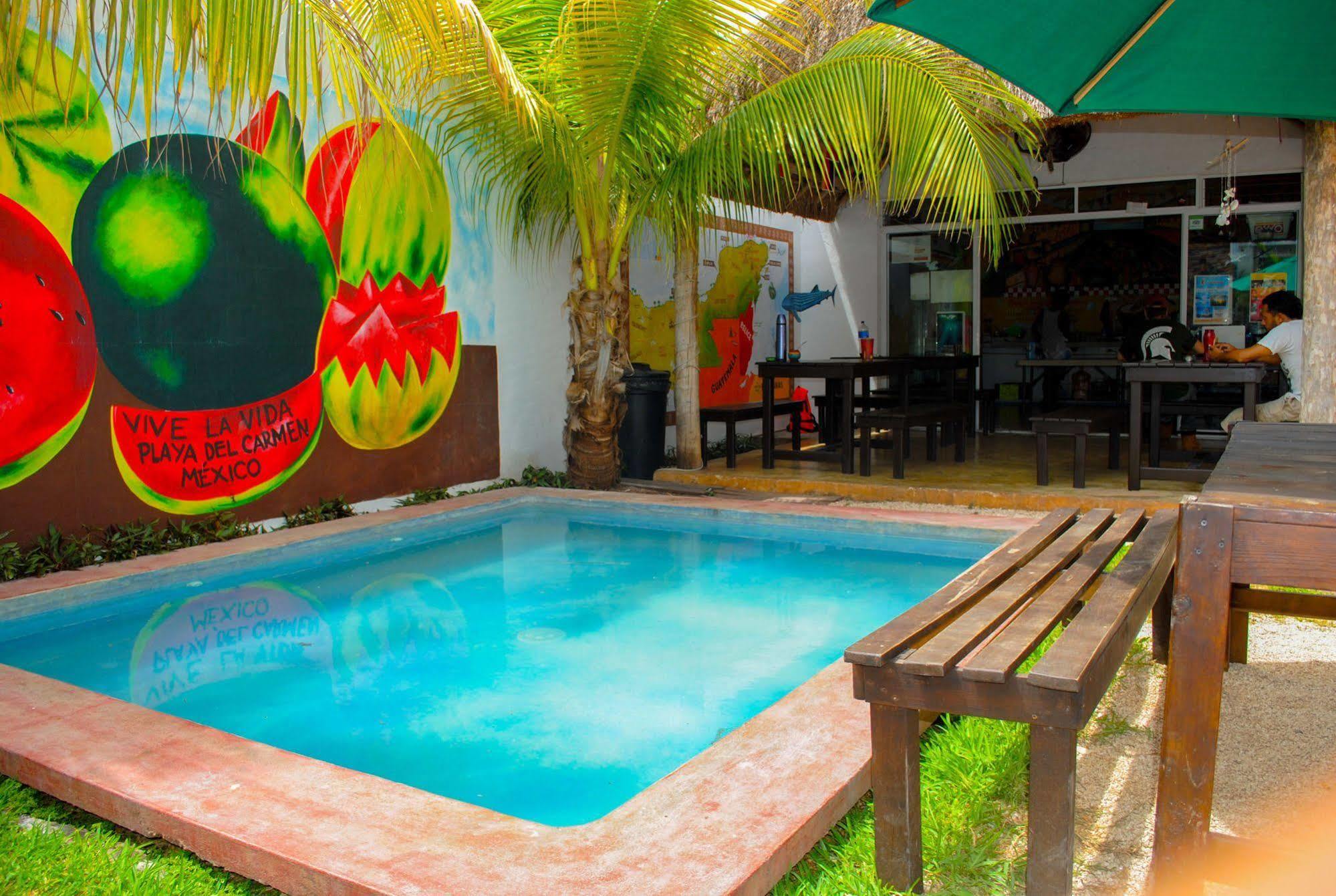 Hostal Vive La Vida Playa del Carmen Exterior foto